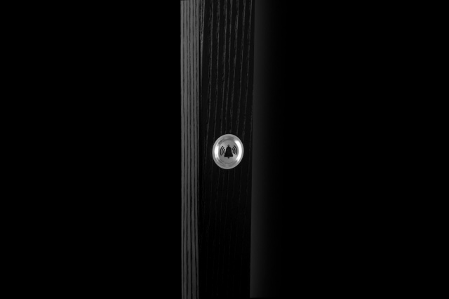 microswitch